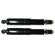 PAIR REAR OF SHOCK ABSORBER RECORD RENAULT