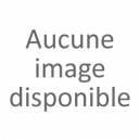 PAIRE AMORTISSEURS ARRIERE RENAULT R8 - R10 - DAUPHINE - FLORIDE - A110